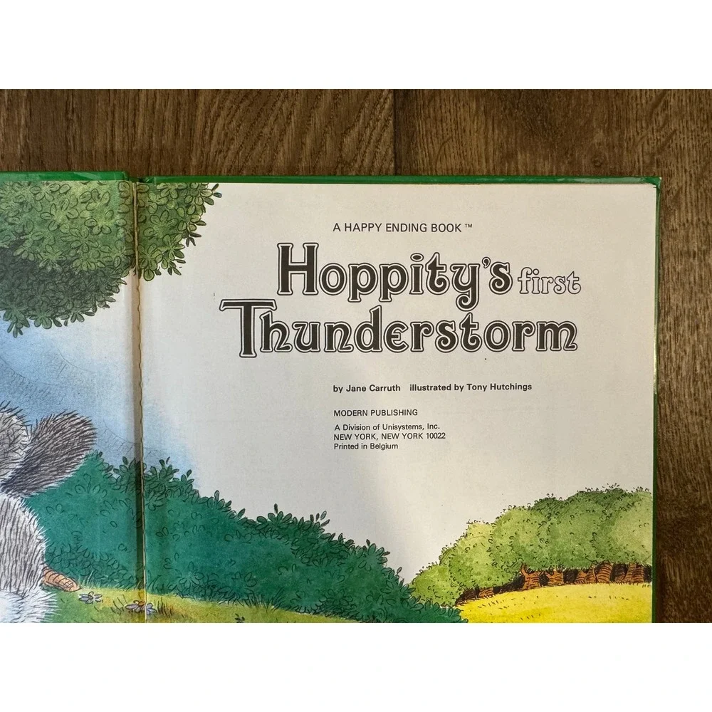 Honey Bear Hoppitys First Thunderstorm Kids OS Green Good Vintage Hardcover 1985